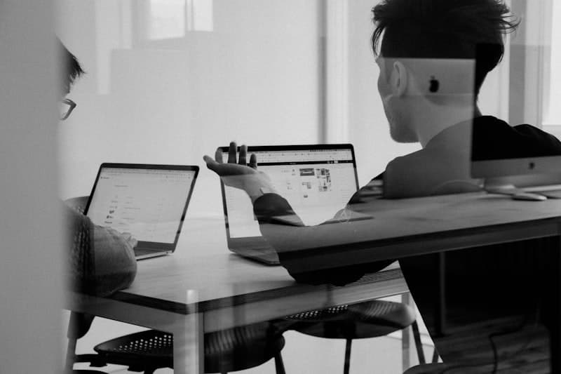 SEO & Synlighet